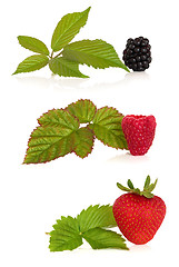 Image showing Blackberry, Raspberry and Strawberry