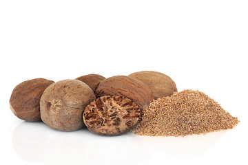 Image showing Nutmeg Spice