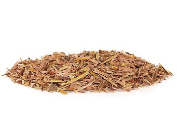 Image showing White Willow Bark Herb