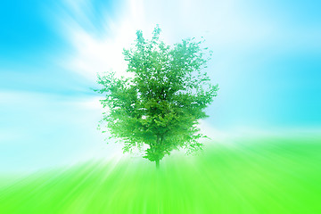 Image showing green herb under blue sky