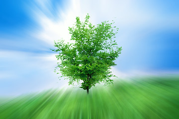 Image showing green herb under blue sky