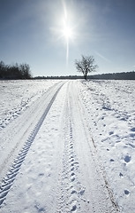 Image showing snow scenery