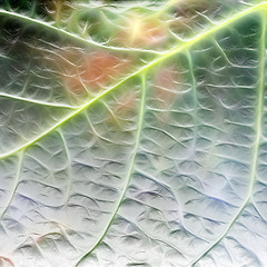 Image showing abstract background scene with alive plant