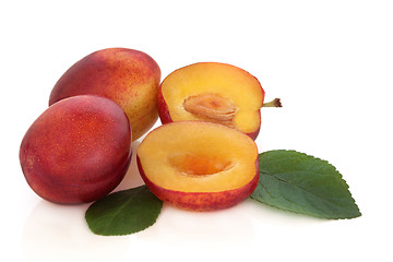 Image showing Plums