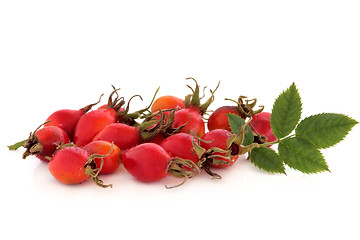 Image showing Rosehips