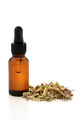 Image showing Valerian Root and Tincture Bottle