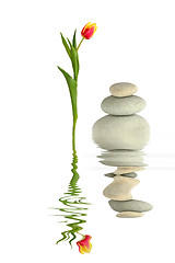 Image showing Zen Peace
