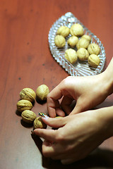 Image showing ripe nut on table