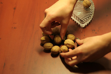 Image showing ripe nut on table