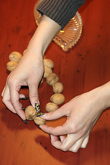 Image showing ripe nut on table