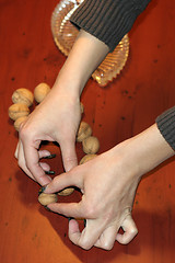 Image showing ripe nut on table