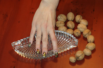 Image showing ripe nut on table