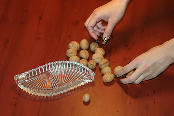 Image showing ripe nut on table