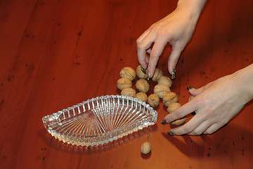 Image showing ripe nut on table