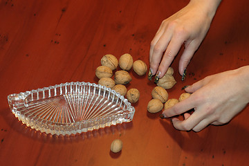 Image showing ripe nut on table