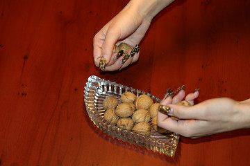 Image showing ripe nut on table