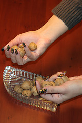 Image showing ripe nut on table