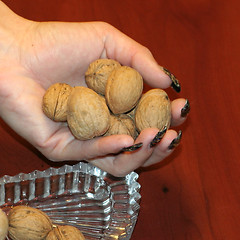 Image showing ripe nut on table