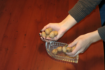 Image showing ripe nut on table