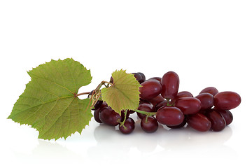 Image showing Red Grapes on the Vine