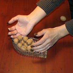 Image showing ripe nut on table