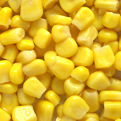 Image showing Maize corn