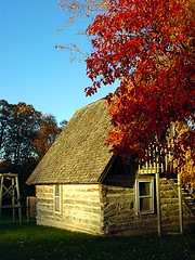 Image showing Autumn Cabin