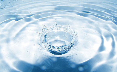 Image showing Water drop droplet