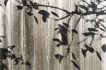 Image showing Fence With Shadow