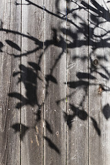 Image showing Fence With Shadow