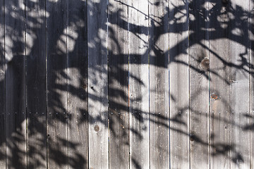 Image showing Fence With Shadow