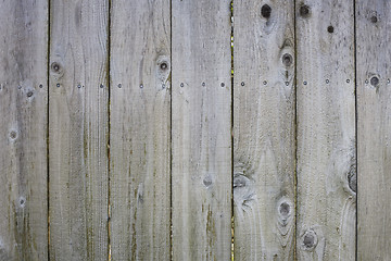 Image showing Closeup of Fence