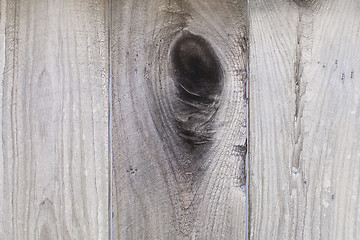 Image showing Knot in Wood Fence