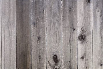 Image showing Backyard Wooden Fence