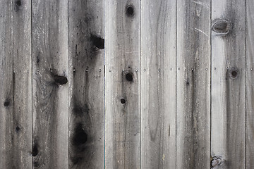 Image showing Wood Fence Detail