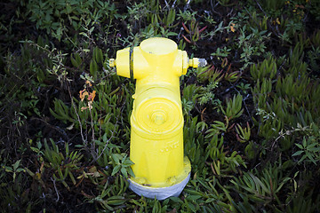 Image showing Fire Hydrant