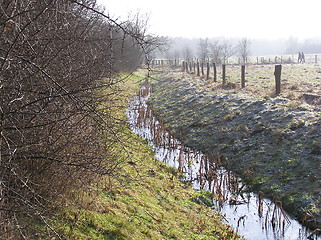 Image showing brook landscape