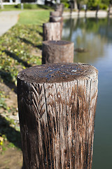 Image showing Wood Post By Lake