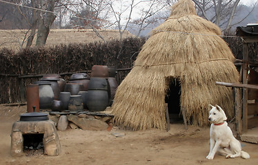 Image showing Dog outside at straw hut