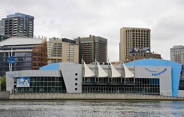 Image showing Melbourne aquarium