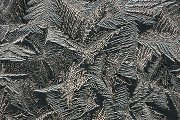 Image showing Hoarfrost on glass