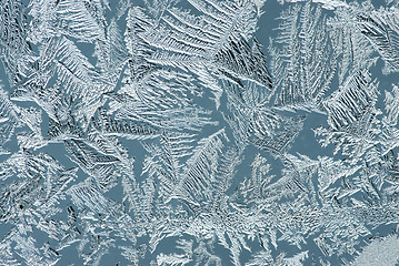 Image showing Hoarfrost on glass