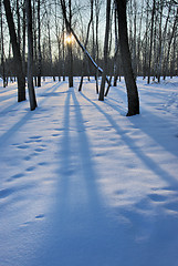 Image showing Winter sunset