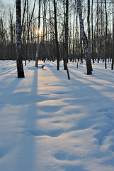 Image showing Winter sunset