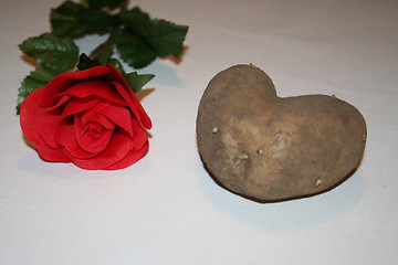 Image showing Heart in potato