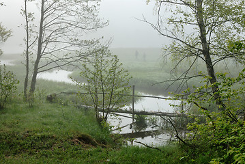 Image showing Morning on the River