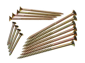 Image showing Screws