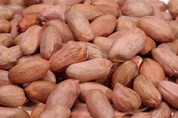 Image showing Peanuts.