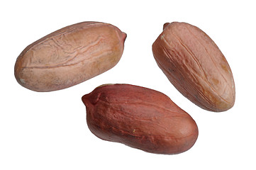 Image showing Peanuts.