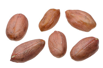 Image showing Peanuts.